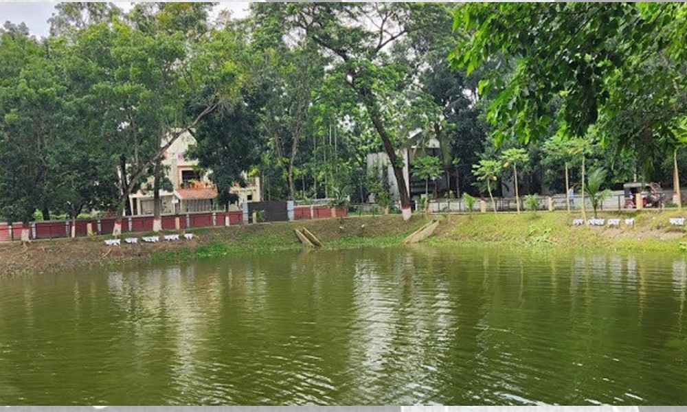 পাঁচ শহরে পুকুর রক্ষায় হাইকোর্টের নির্দেশ, ১৫ দিনে গঠন হবে কমিটি