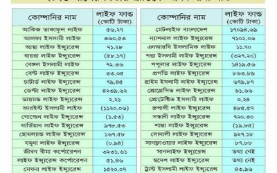লাইফ ফান্ডে প্রবৃদ্ধি, ঋণাত্মক কোম্পানিগুলো নিয়ে উদ্বেগ