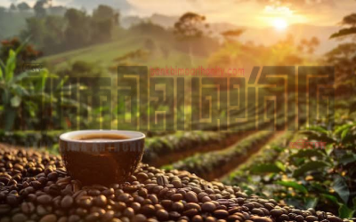 আজ আন্তর্জাতিক কফি দিবস