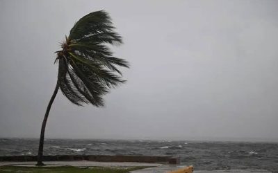 ঘূর্ণিঝড়ের আশঙ্কায় আগাম প্রস্তুতির তাগিদ, দ্রুত ধান কাটতে বলছে বিডব্লিউওটি